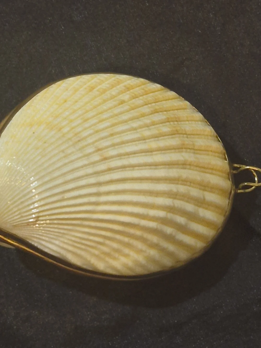 Vintage Natural Calico Clamshell Hinged Trinket Box - Brass Trimmed Shell Art